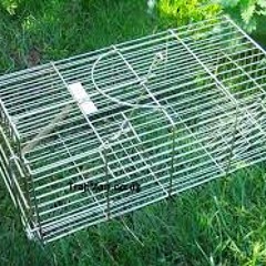 Rat Trap 3000
