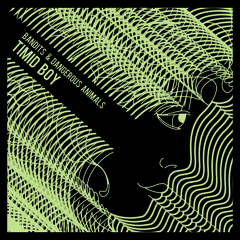 Bandits & Dangerous Animals