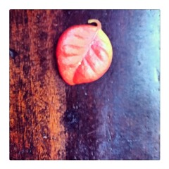 Untitleds feat. Giorgia Alò