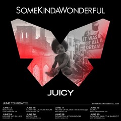 Notorious B.I.G.- Juicy (SomeKindaWonderful Reconstruction)
