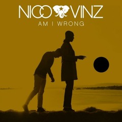 Nico & Vinz - Am I Wrong (Roy Van Dahl Mashup-Short Edit)