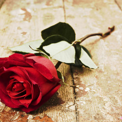 Dr. Dre, Eminem, Outkast- Forgot About The Roses (Embus - E Remash) By Embus - E