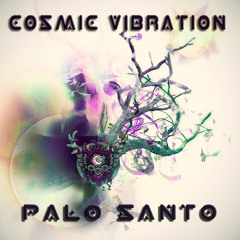 Cosmic Vibration_ Iam You And You Are We / Palo Santo Rmx  (Sample)