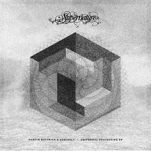 Martin Buttrich & Audiofly - Something Happier (snippet) - Supernature