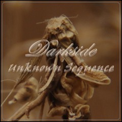 Darkside - Trumphession