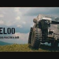 Cheloo- Suma Defectelor