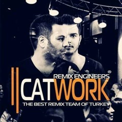 Catwork Remix Engineers Ft. Arif Akpınar - Vuracak (2014)