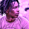 LIFE STYLE- RICH HOMIE QUAN, YOUNG THUG,BIRDMAN (BLUE TURTLE SLOWDOWN)