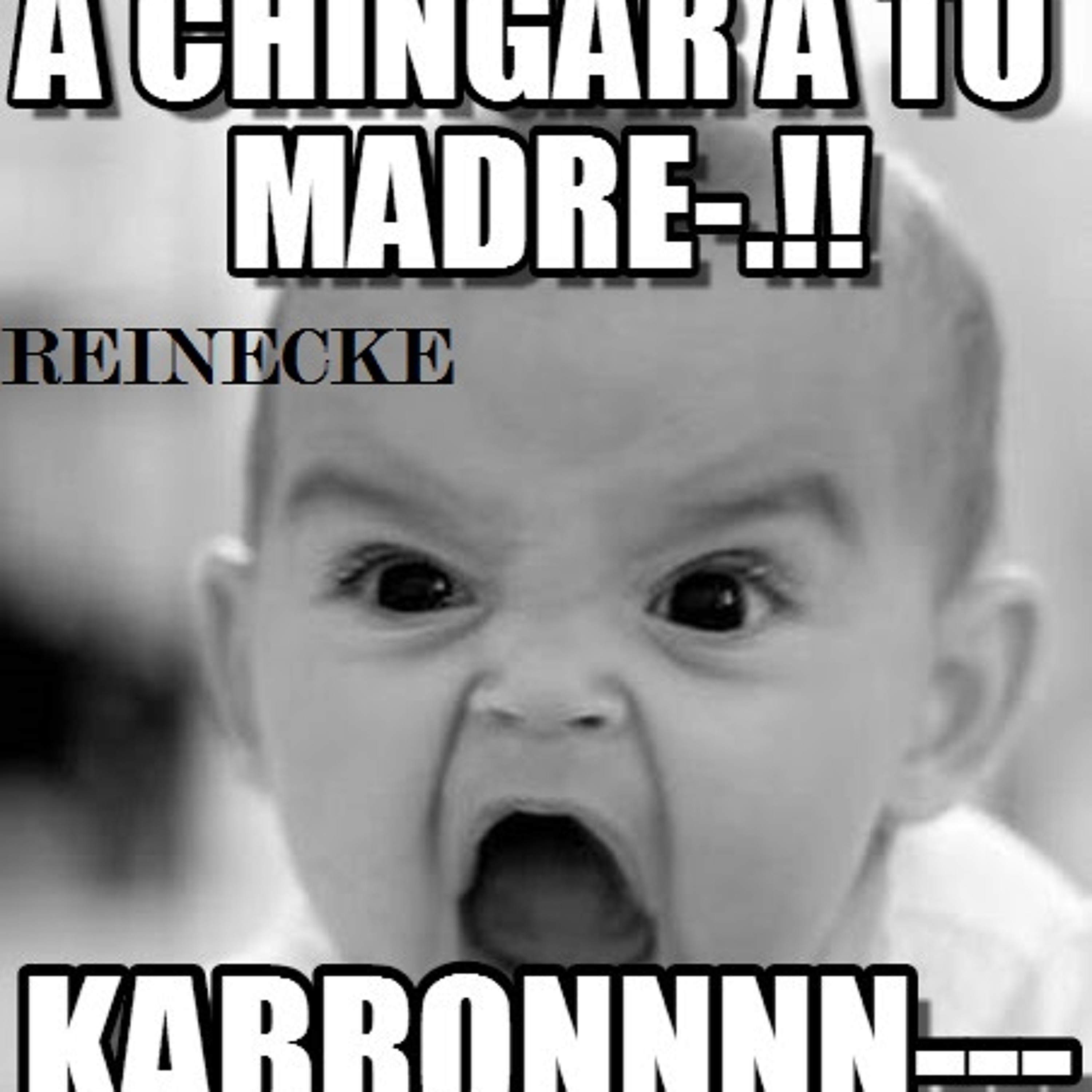 Reinecke - A chingar a su madre episode artwork