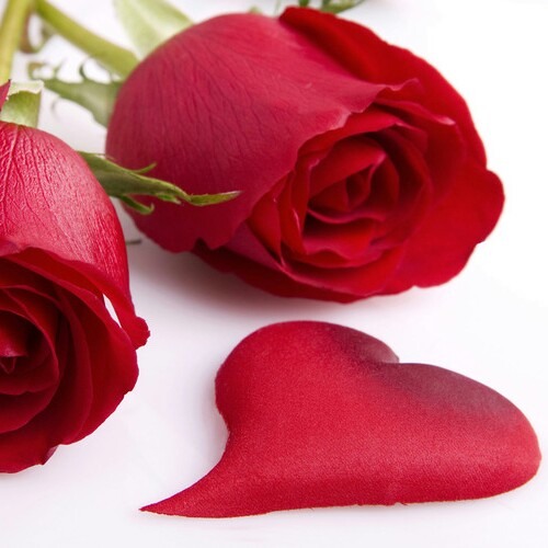 ♡ اغنيه رومانية2 ♡