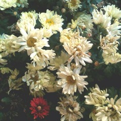 Dos Mil Quinientos Años