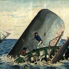 This Means I'm Crazy