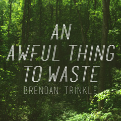 An Awful Thing To Waste