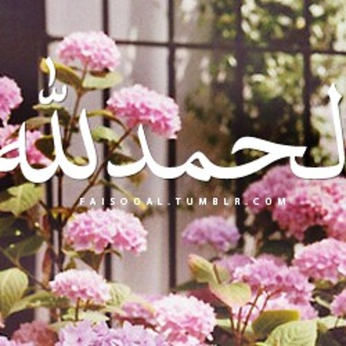 سورة الفرقان-عمرو باكير