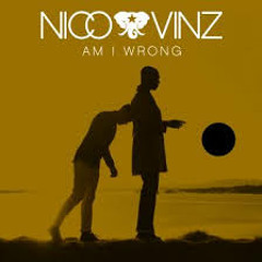 Am I Wrong - Nico&Vinz 13