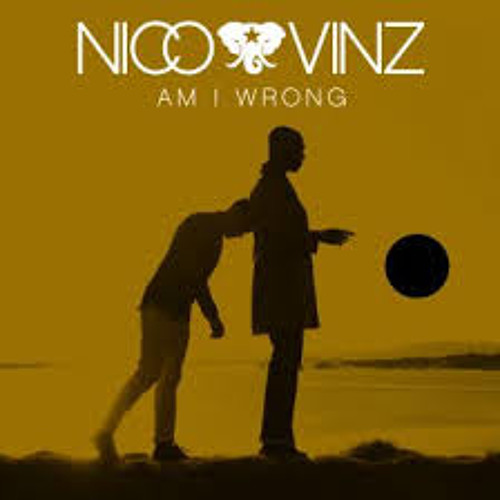 Am I Wrong - Nico&Vinz 13