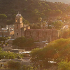 Temacapulín (extracto)