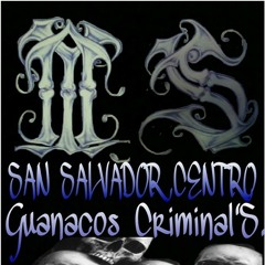 MS13 Guanacos Criminal'S.