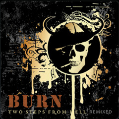 Winterspell Dubstep Remix - TSFH - Burn (2012)
