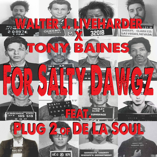 For Salty Dawgz Feat. Plug 2 Of De La Soul