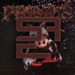 DJ SEAP "Primus' 'My Name Is Mud'" (remix)