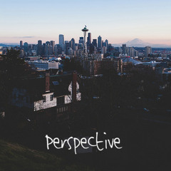 Perspective