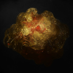Otolith (w/Tristan Allen)