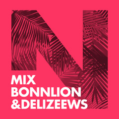 Mixed By Bonnlion & Delizeews