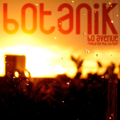 01 Pinus Piano (featuring Phil Hilfiker)