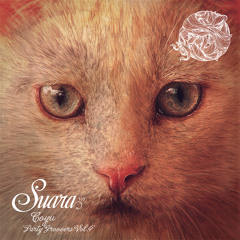 [Suara 135] Coyu - In My Mind (Original Mix) Snippet