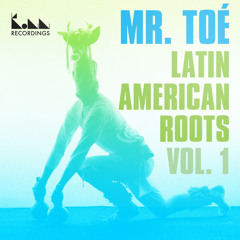 electro acoustic / cumbia /