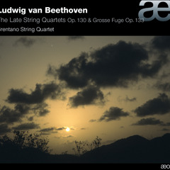 L. van Beethoven - Quartet No 13, Cavatina