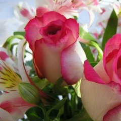 ورده _اه لو قابلتك من زمان