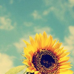 The Color Of Love - BoyzIImen