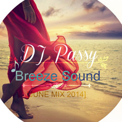 DJ Passy - Breeze Sound [June Mix 2014]