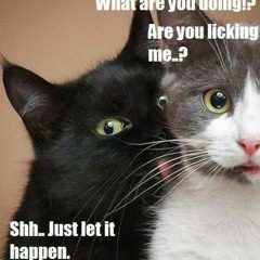 Shh...just let it happen