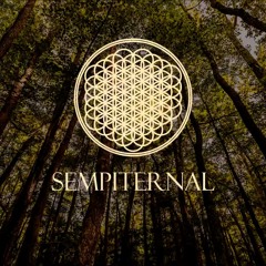 Can You Feel My Heart (SCOUT Remix)