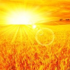 Midnight Sun - Dastan Ensemble