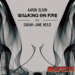 Walking On Fire (Bryn Liedl Remix)