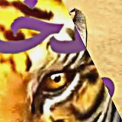 RSS B0Y TLLS TH TR00TH [][] 1 [][]