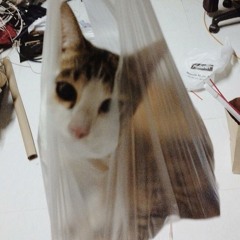 เลี้ยง - Yellow Fang (sutham version)