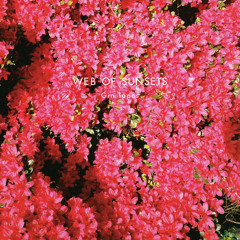 Web of Sunsets - Places