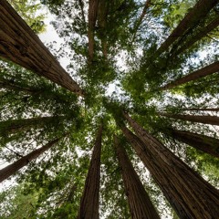 Stephen Kirkwood - Access Underground 047 (June) [MixTape]