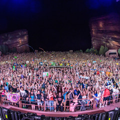Nectar's Little Bass Heads