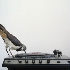 Let the Jazz in - Instru N°1