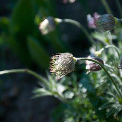 Download Selbstliebe chaplin For Android Selbstliebe Chaplin