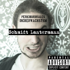 Schmidt Lantermann - Perichondrales Dickenwachstum