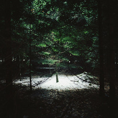 Nitescence  | Destination (Gesaffelstein) Edit | Figurative Records |
