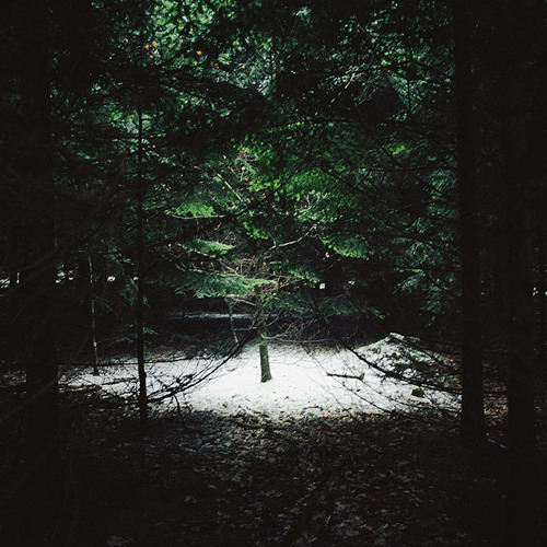 Nitescence  | Destination (Gesaffelstein) Edit | Figurative Records |