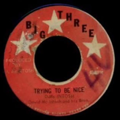 David McIntosh & His Bros - Trying To Be Nice
